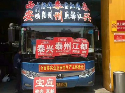 南陽(yáng)到泰州汽車寵物貨物托運(yùn)15861212886