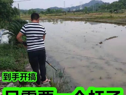 貴州打魚鋰電桿,單桿隱蔽式可吸魚浮魚打漁