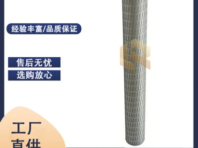 廠家替代 PSFG336MIC01EB派瑞燃?xì)膺^濾器濾芯