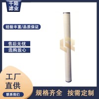 替代生產(chǎn)PECO派瑞JC644 燃氣天然氣聚結(jié)濾芯